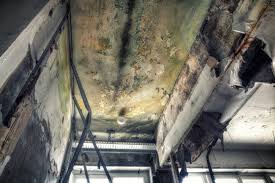 Asbestos and Lead Testing During Mold Inspection in Clarence Center, NY